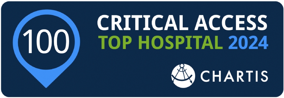 2024 Top 100 Critical Access Hospital